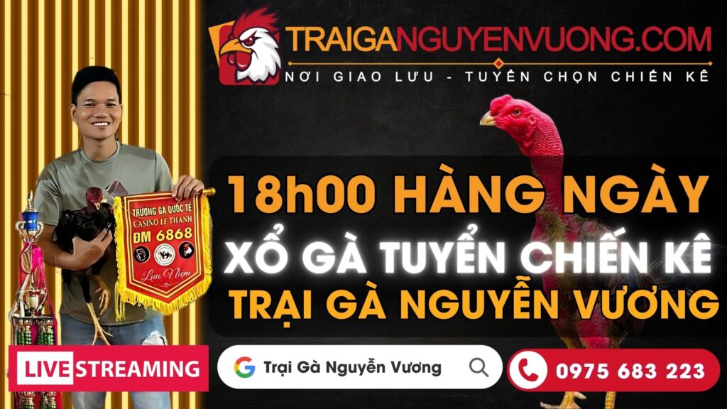 Video xổ gà